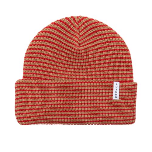 Autumn Youth Stripe Beanie